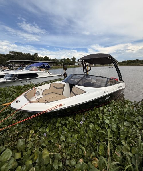 Eclipse 21SS – Evinrude 200