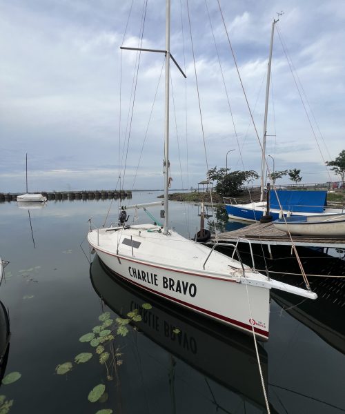 Velero DSerra 20.7